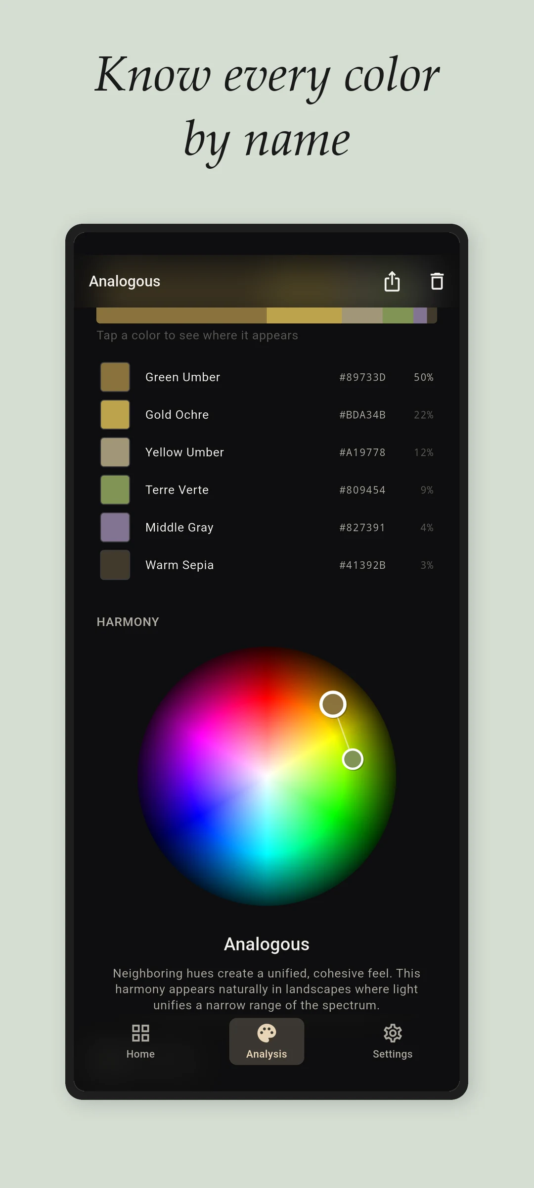 Undertone - Color Analysis screenshot